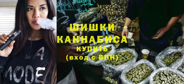 гидра Богданович
