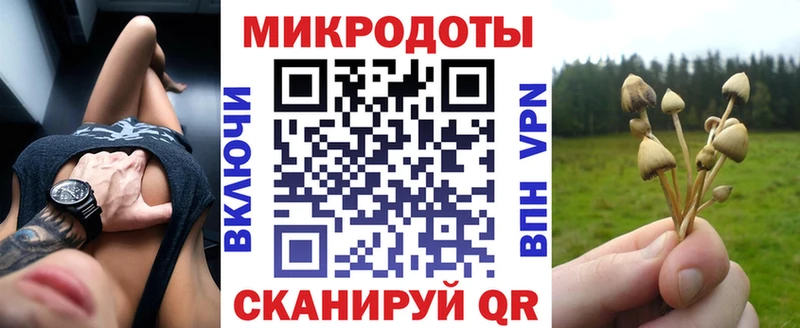Псилоцибиновые грибы Magic Shrooms  закладки  Вуктыл 